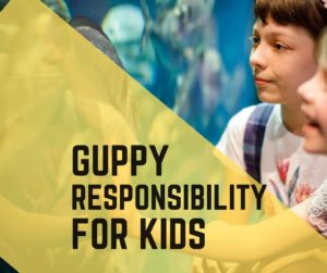 Guppy Responsibility for Kids