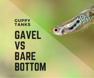 Difference Between Bare Bottom And Gravel Tank?