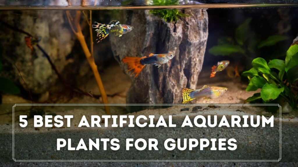 5 best artificial aquarium plants for guppies