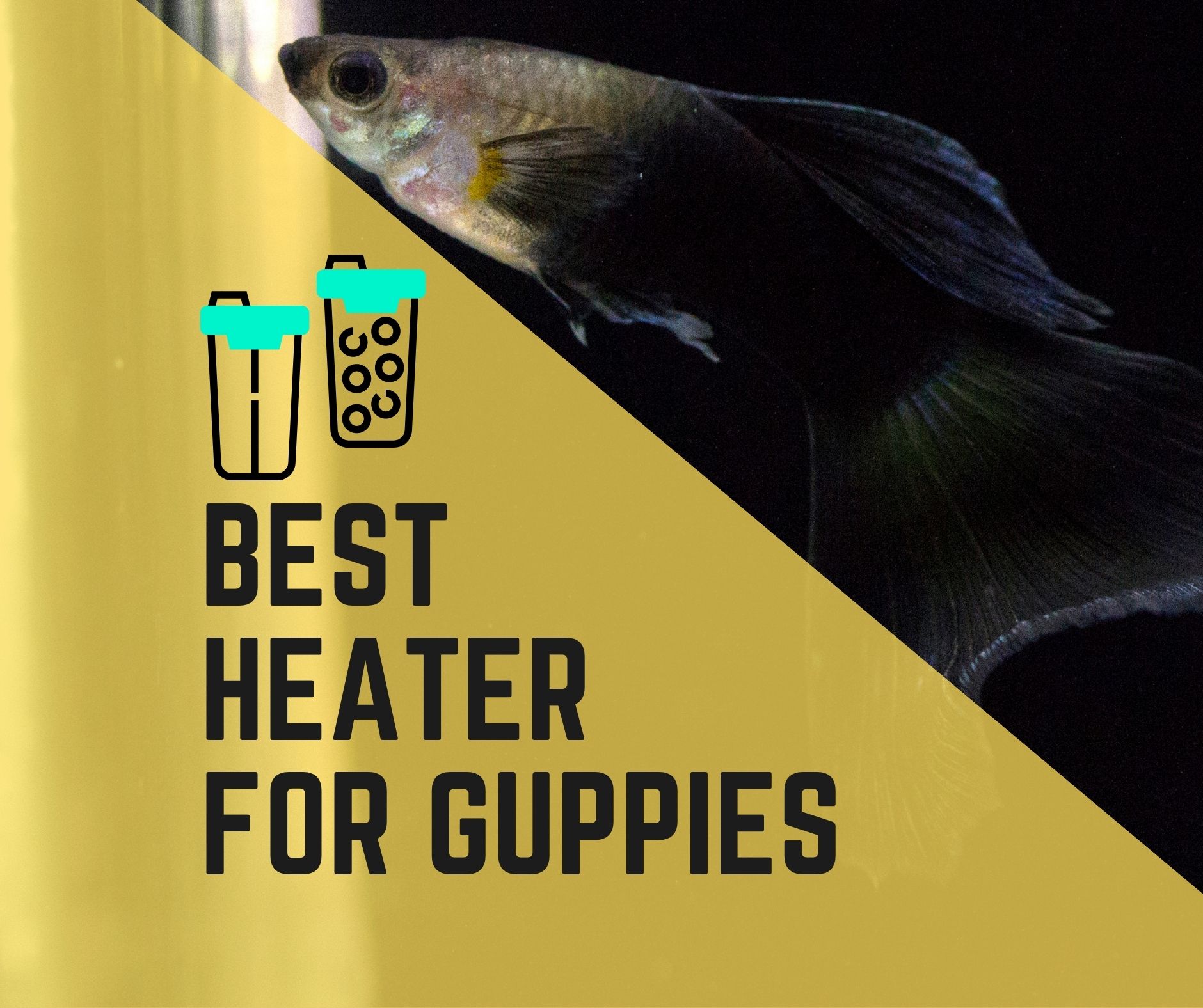 Heater For Guppies