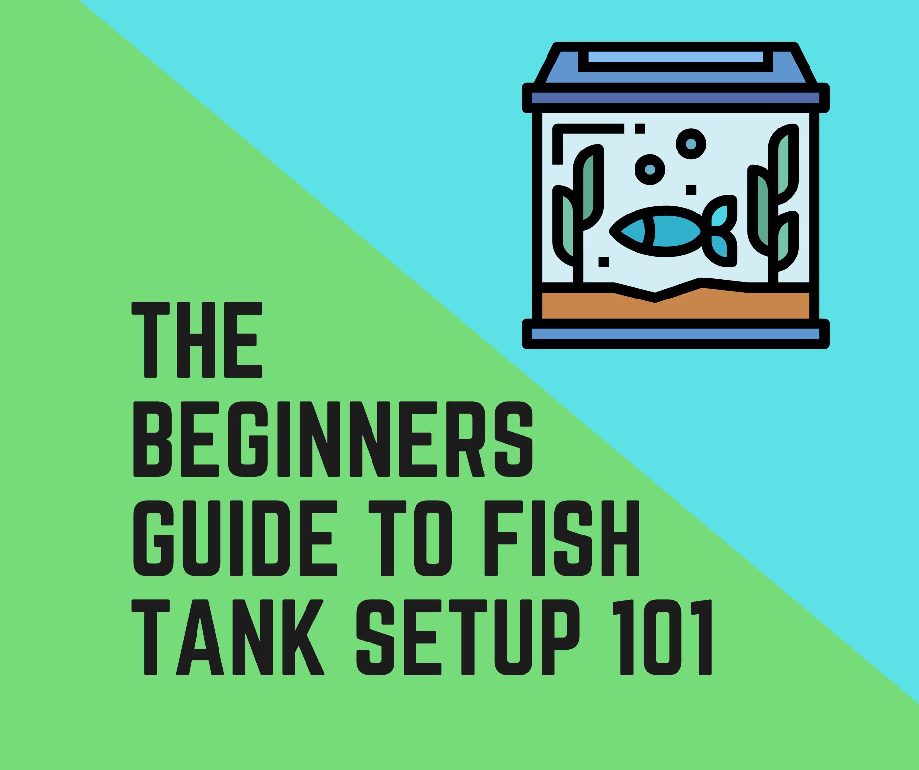 The Beginners Guide to Fish Tank Setup 101